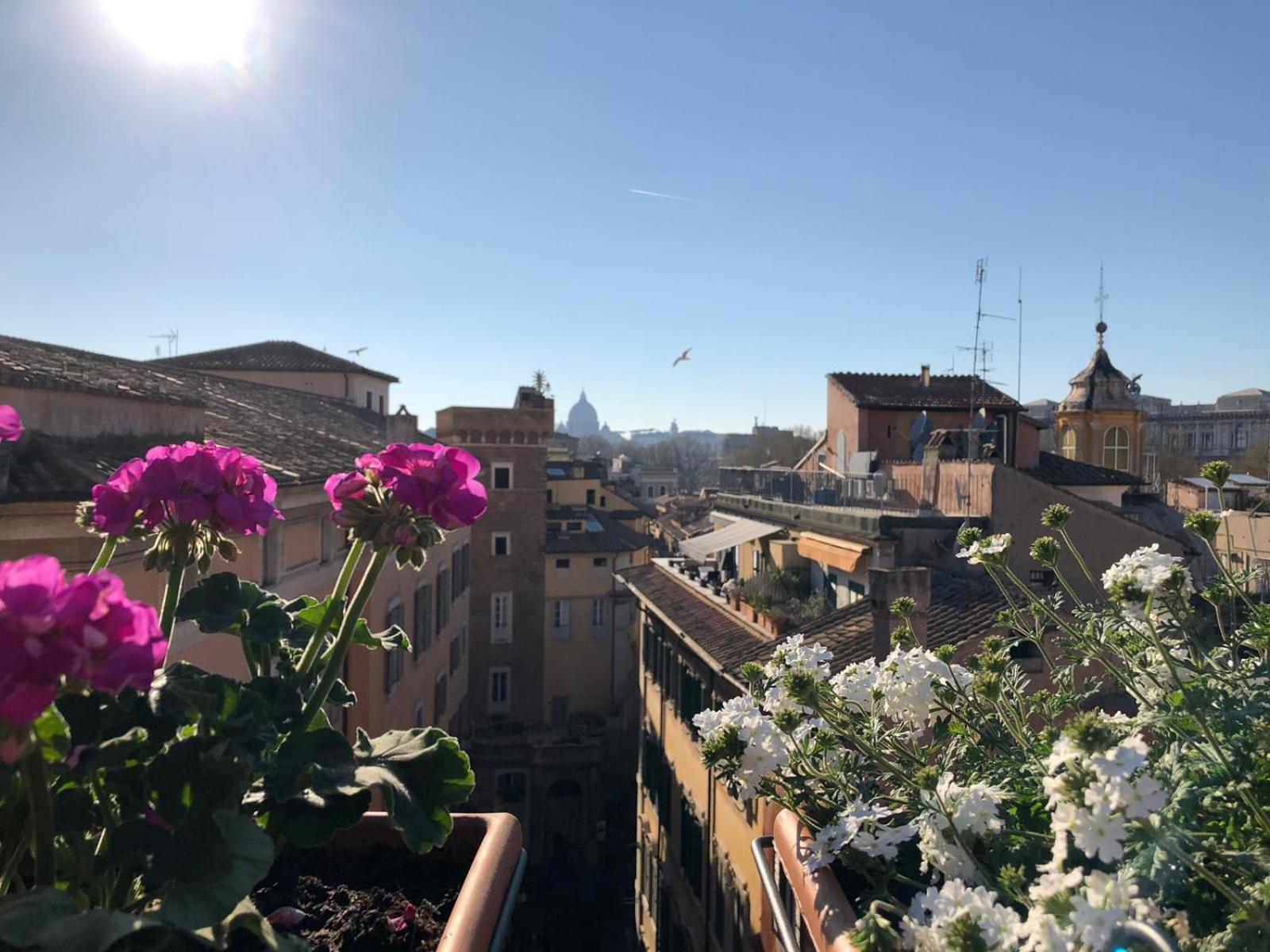 Apartment Stelletta 1a Rome